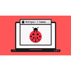 Bug Bounty Hunting and Web Security Testing Course