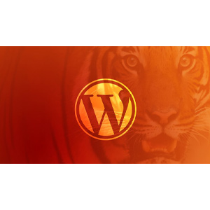 wordpress developer coding with php and javascript